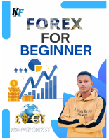 FOREX BEGINNNER COMPLETE.pdf